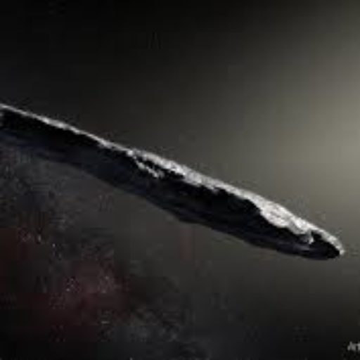 The 'Oumuamua Chronicles